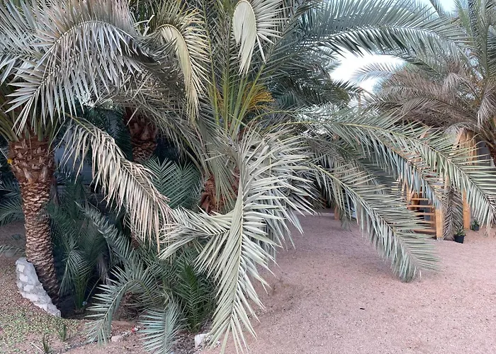 شقة Palm Nest دهب