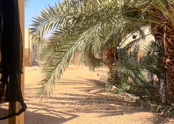 شقة Palm Nest دهب